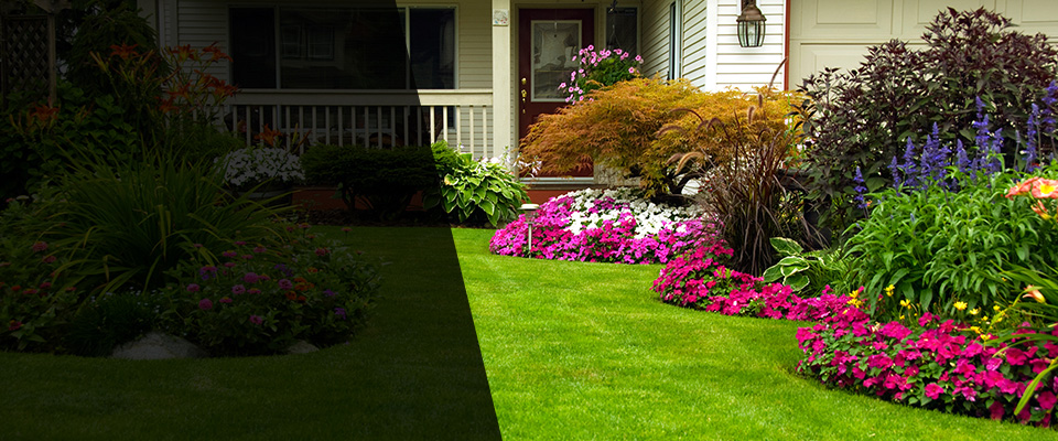 Charlotte Landscapers