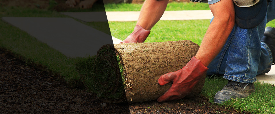 Charlotte Landscapers